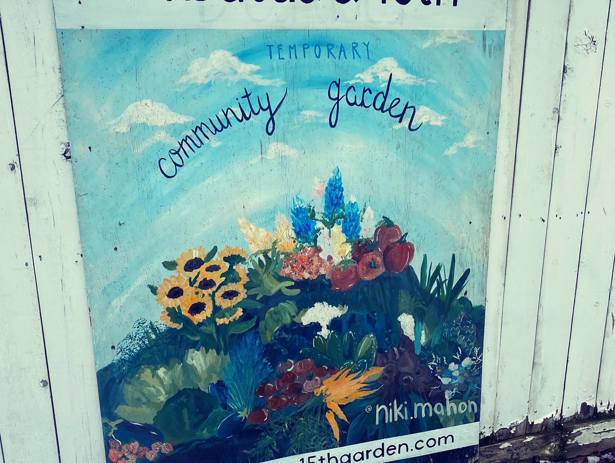 Tom Collins tweet media