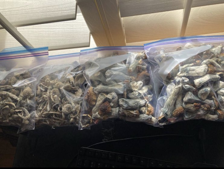 Shrooms still available in stock.