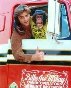 Super70sSports's tweet photo. If a man can’t transport goods across this great land in his 18-wheeler with a fucking monkey riding shotgun, can you really call it freedom? I say not.

👉 https://t.co/QmqZWlJ4Xs https://t.co/CfcZwaJKwS