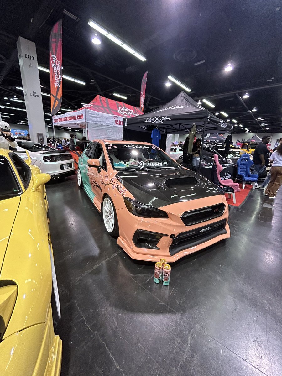 Rexy Rex tweet media