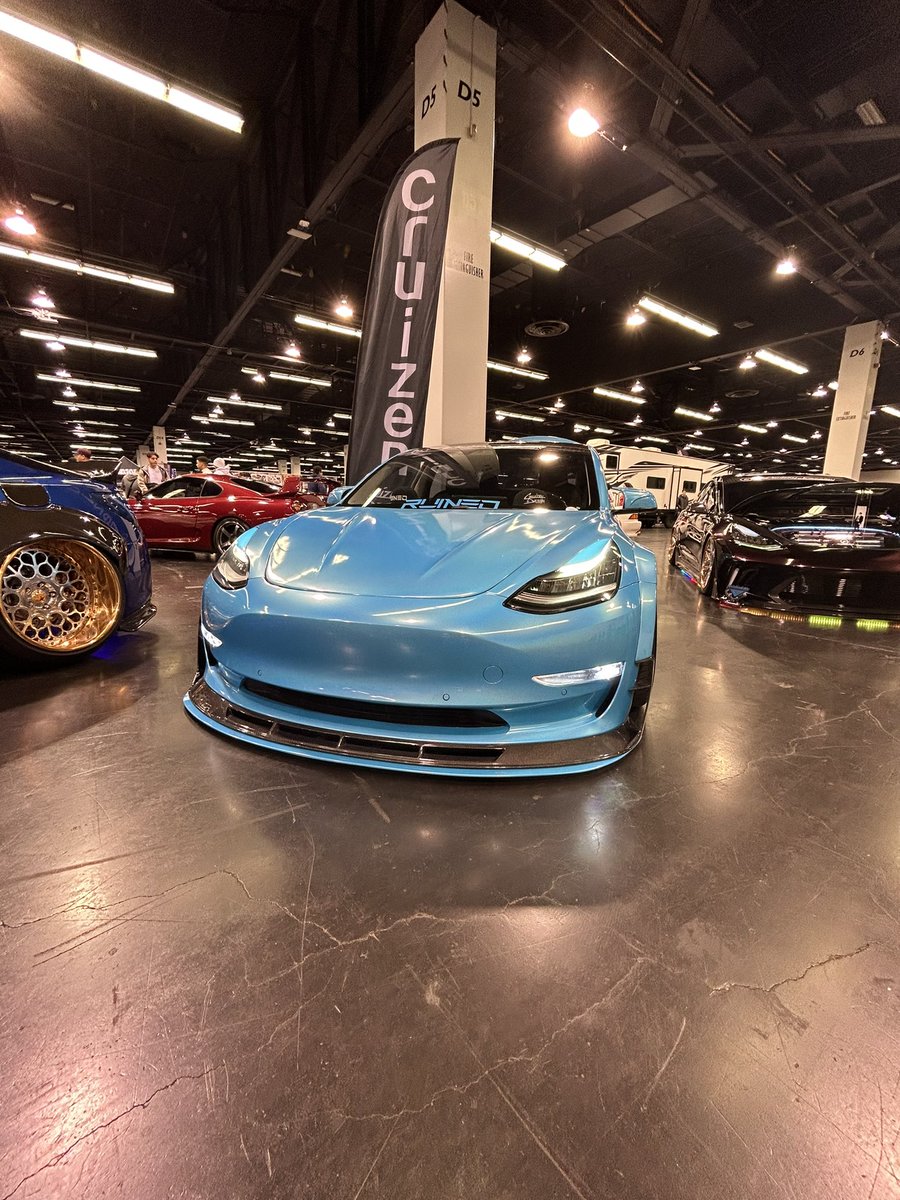 Rexy Rex tweet media