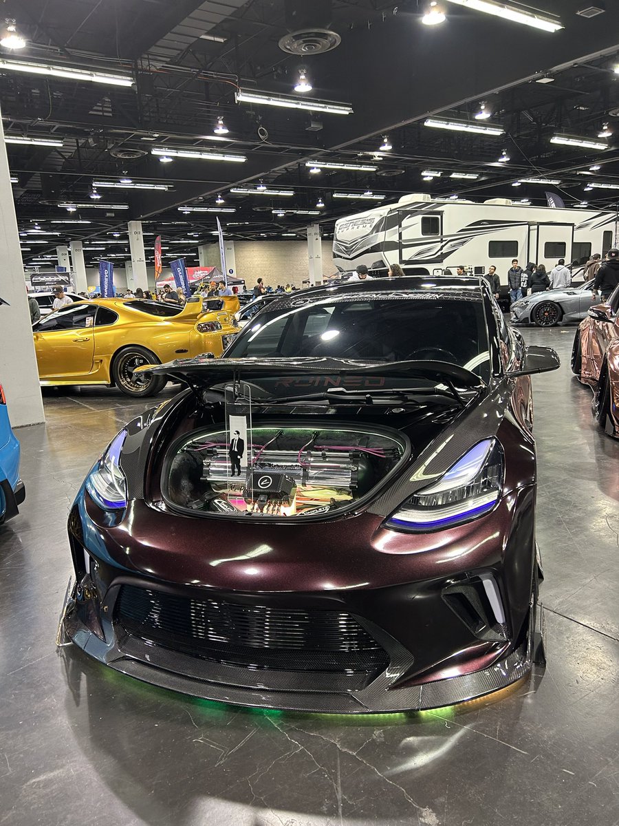 Rexy Rex tweet media