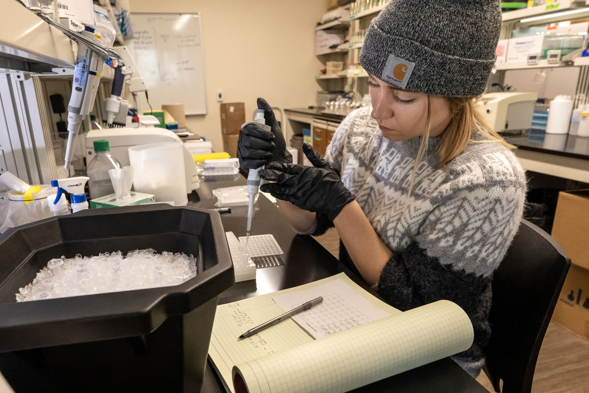 umontana's tweet photo. The record-setting science surge at UM has only gained momentum in the first six months of the 2022-23 fiscal year! External funding is up 18% from last year and the award volume stands at $99 million.
Read about UM's growth as an R1 institution here: https://t.co/Ws8p2du6jO https://t.co/ObxoIvrwrN