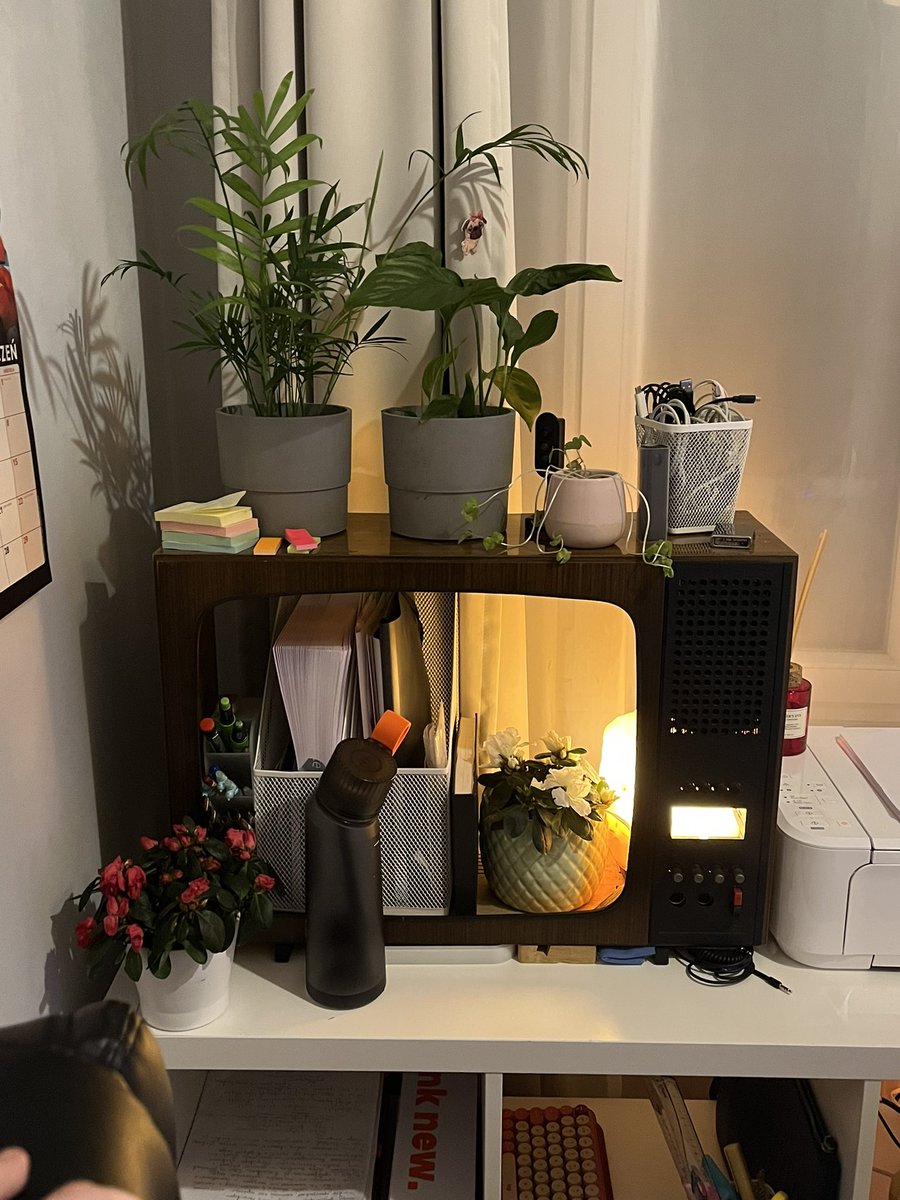hanrouss_art's tweet photo. Someone of the old people died in our house recently, I took his/her old TV set from the dump and now it’s ✨a house for flowers and papers✨ https://t.co/alIT7HPgNy