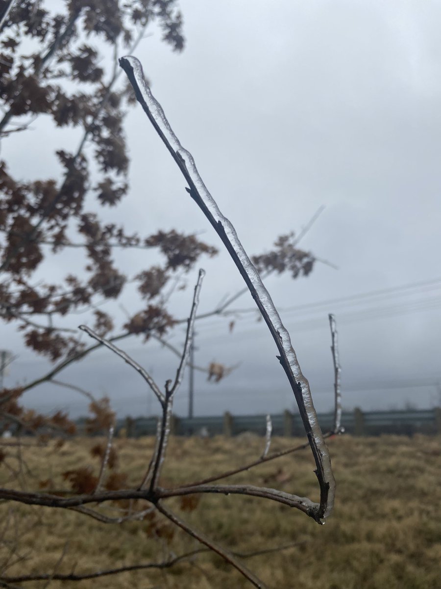 Carissa Lehmkuhl on Twitter "Some afternoon shots from Marble Falls