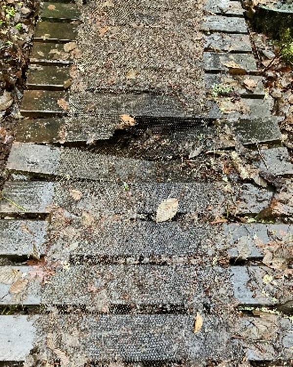 SeattleParks's tweet photo. The trails crew is busy this winter around the park system. One task on their long list was repairing the boardwalk that runs across a swampy area in Fauntleroy Park. These small fixes make a big difference for safety and enjoyment on the trails!
#WinterHikes ☂️ #SeattleTrails https://t.co/G7Dz9n637R