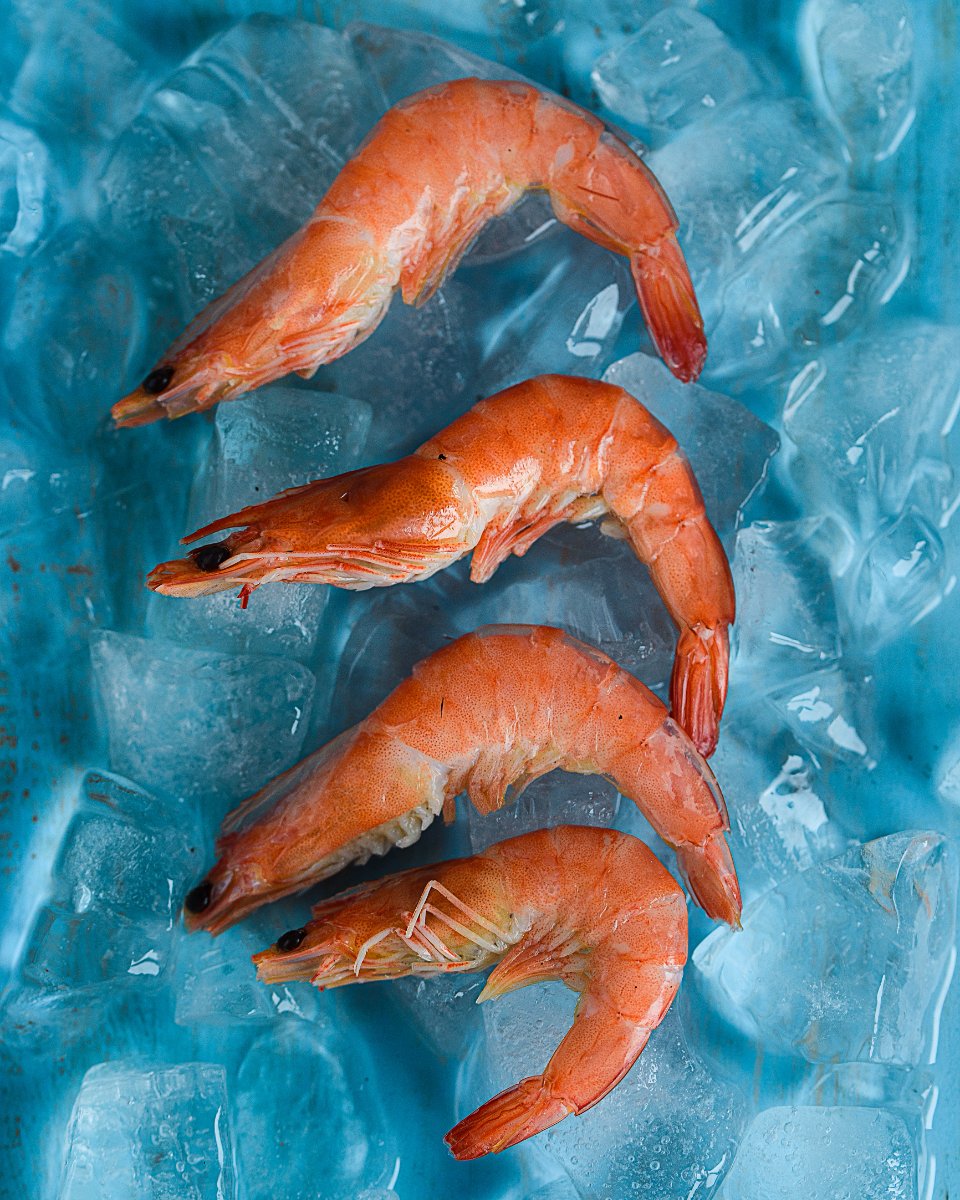 RudysDriveInNY's tweet photo. We shrimply can't wait to see you all soon! #RudysDriveIn #Rudys #OswegoEats #EatLocal #seafood https://t.co/StElCbSCUy