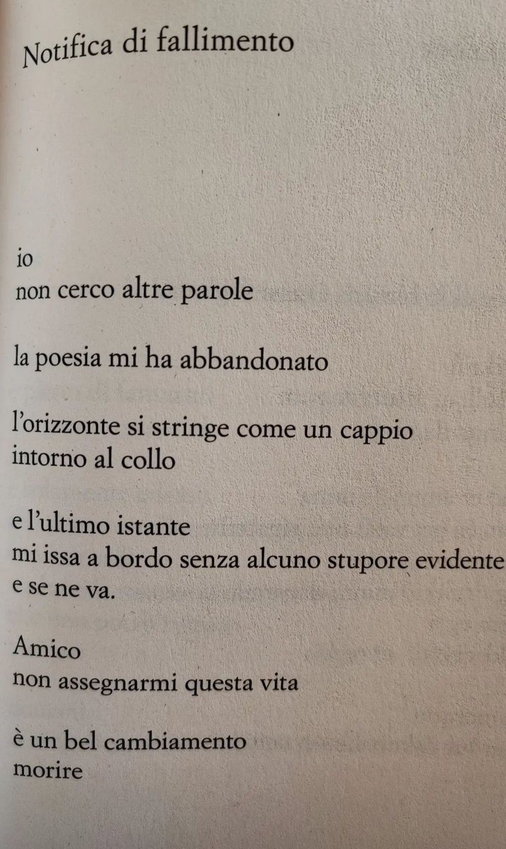 F (@federica_modolo) on Twitter photo 