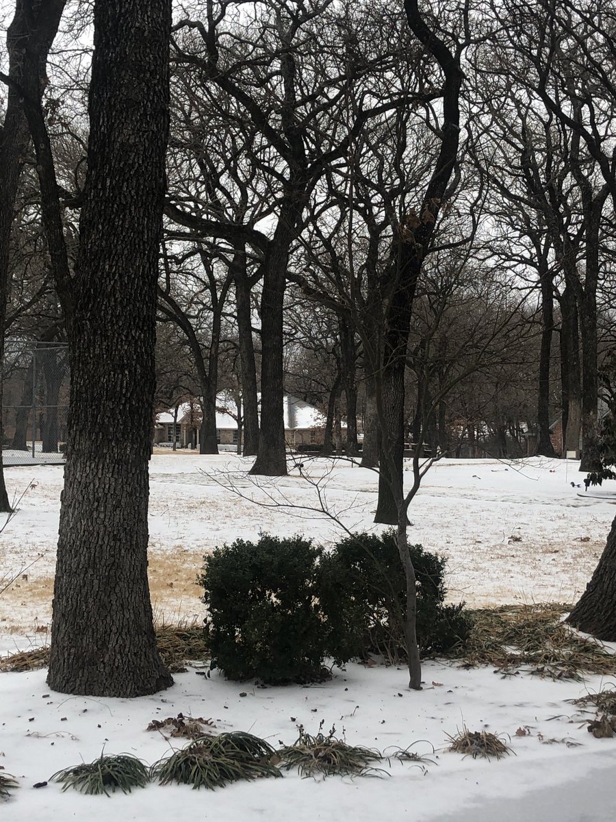 Little slice of heaven #icestorm in Dallas