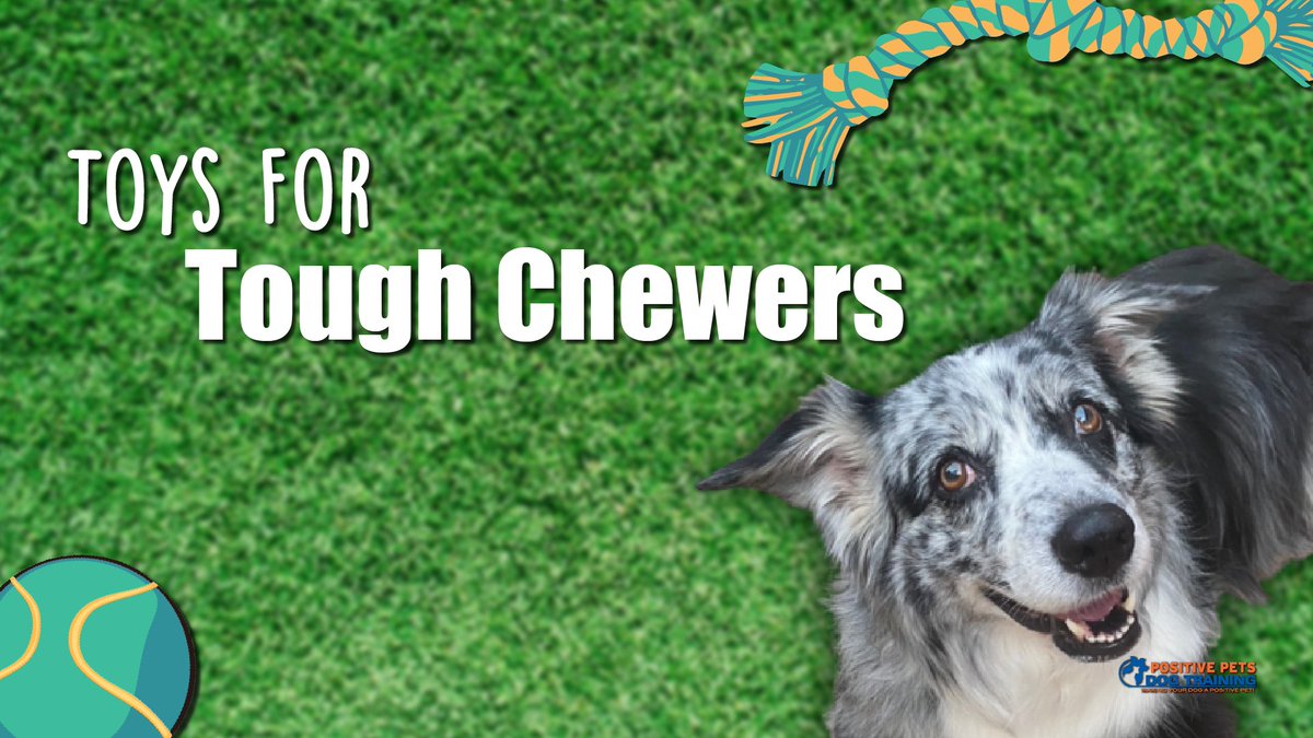 Dog Toys for the Toughest Chewers | positivepetsboise.com/dog-toys-for-t…
