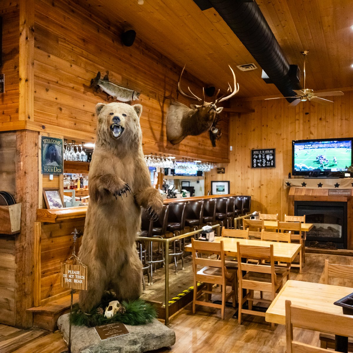 Editorial: Plan for grizzly bears' return reemerges from den | HeraldNet.com, image size:1200x1200