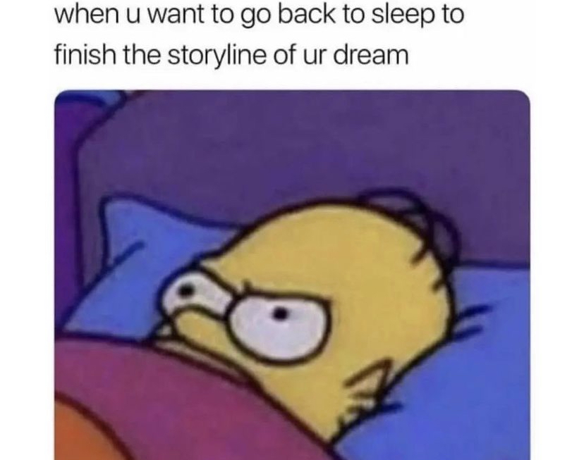 introvert memes (@introvertsmemes) on Twitter photo 