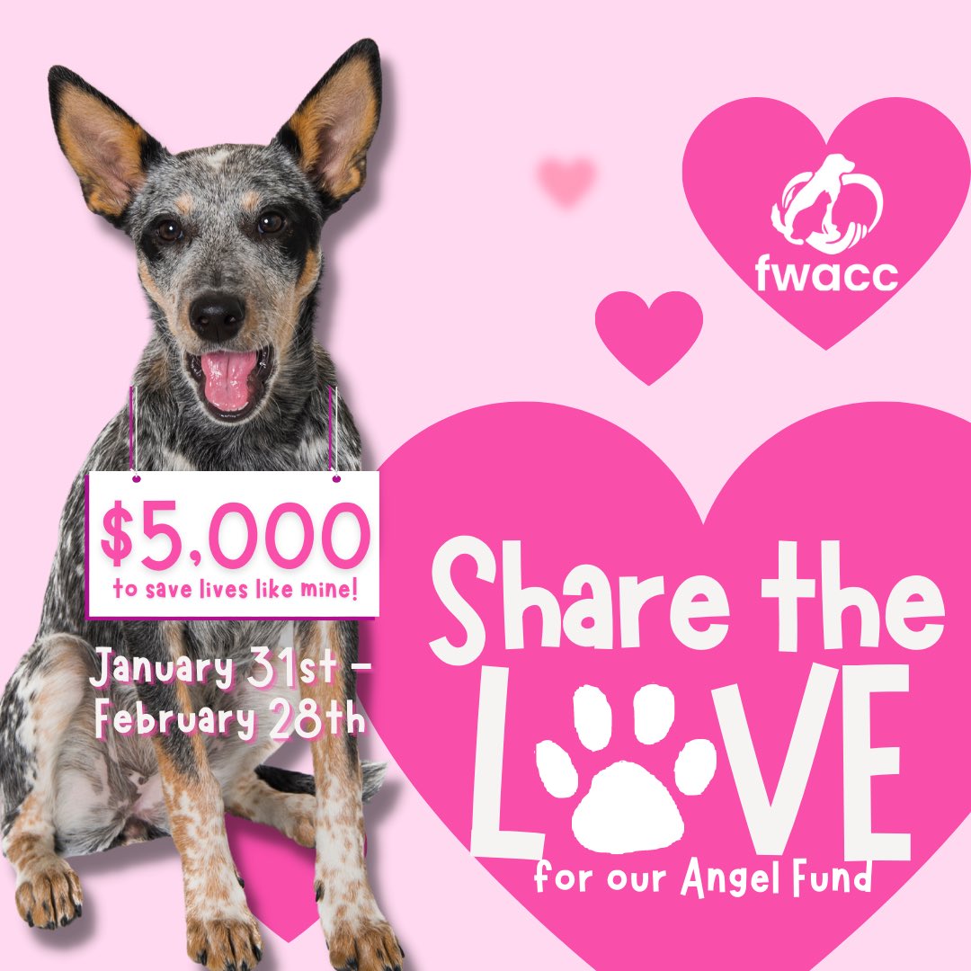 Fort Wayne Animal Care & Control (@FWAnimalControl) / Twitter Fort Wayne Animal Care & Control (@FWAnimalControl) / Twitter