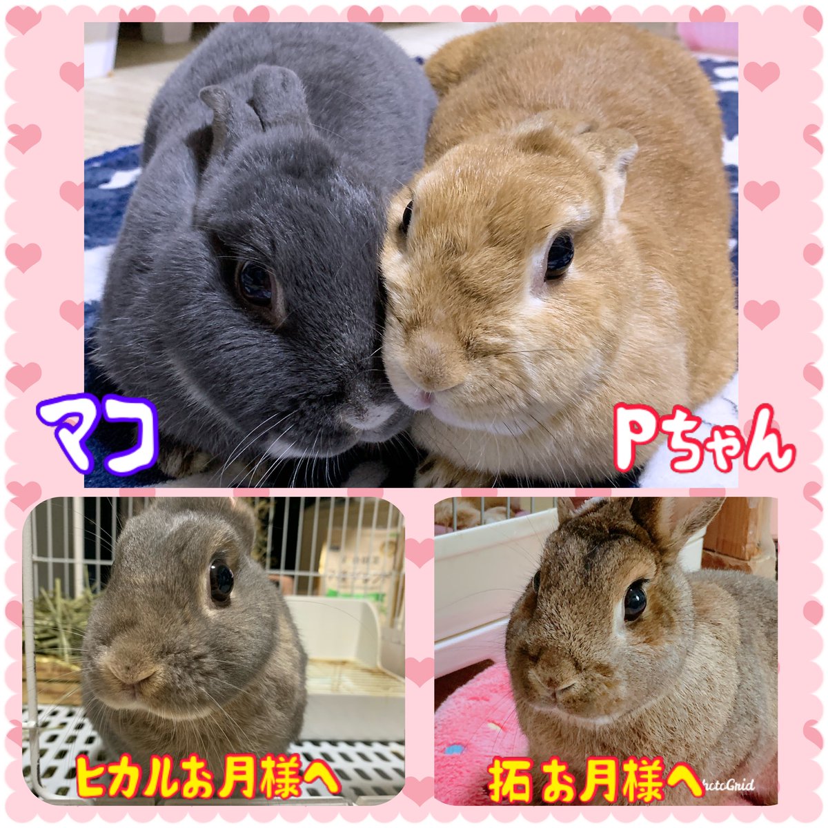 みるみる tweet media