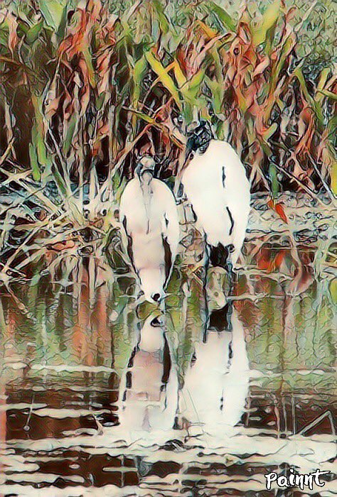 Dr. Gregory J. Rummo tweet media