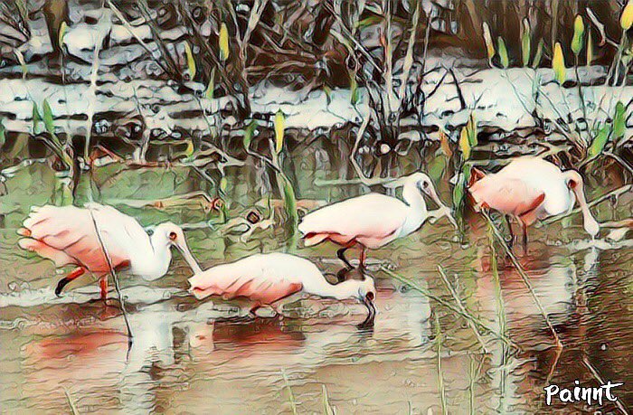 Dr. Gregory J. Rummo tweet media