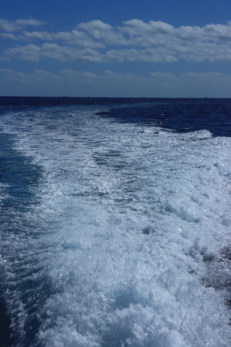 celia_tskp's tweet photo. Bonito color https://t.co/fQVO03yope
