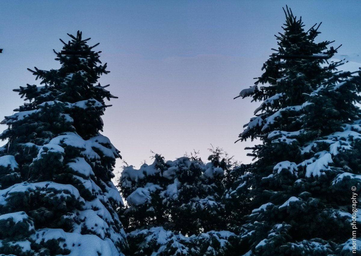 Look at the Winter sky 🌆❄️

•
•
#igersottawa #photography #ottawaphoto #myottawa #ottawatourism #insidecanada #ottawa #explore #exploreottawa #outaouais #exploreontario #explorecanada #canada
#canadianphotography #ontariotourism #discoveron #winter #wintersky #trees #sunset