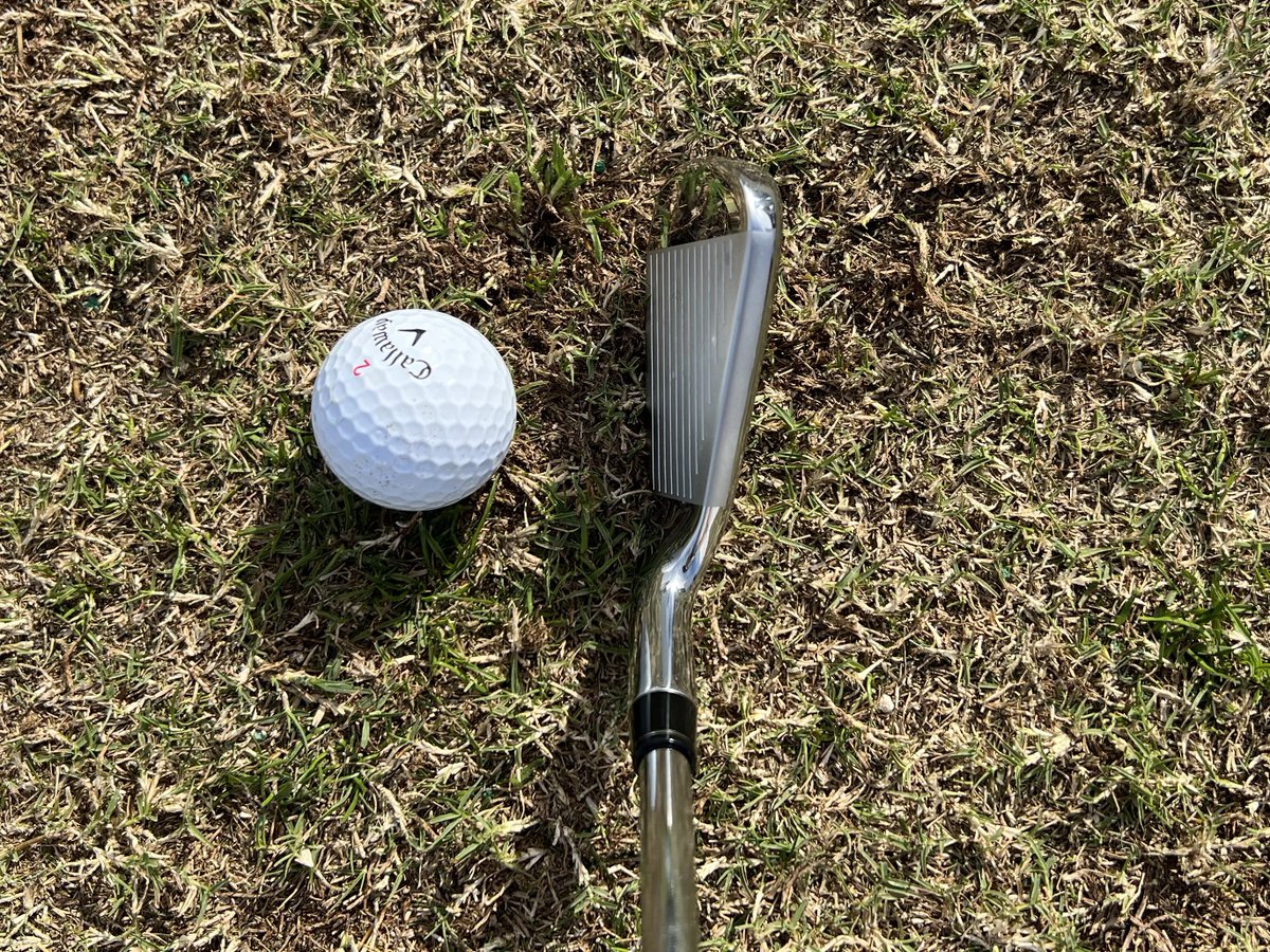 Pete Pappas tweet media