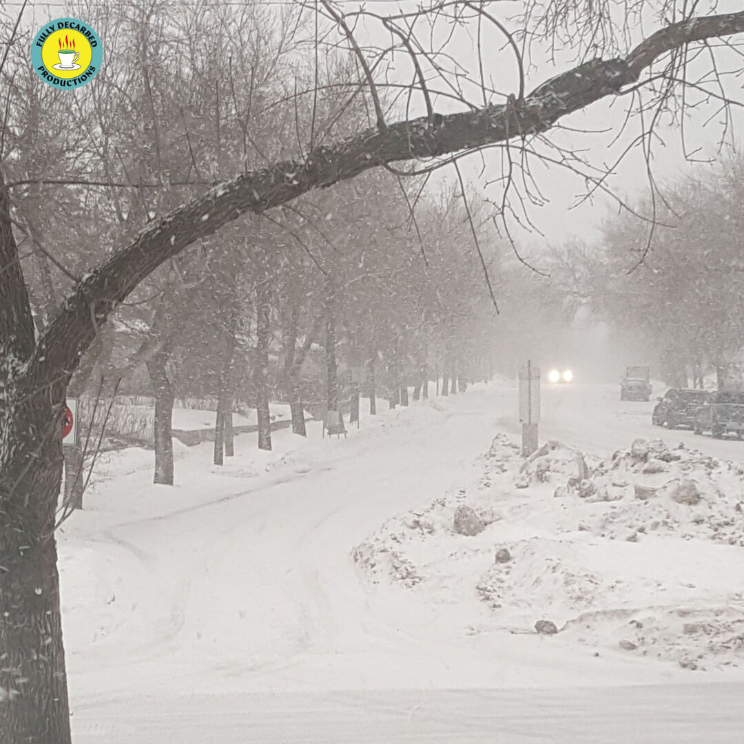 wesleyvoice_ca's tweet image. The snow was coming down pretty hard the other day.  It looked beautitul, but also made me want to stay home and not go anywhere lol #yeglife #ablife #winter #chill #photooftheday