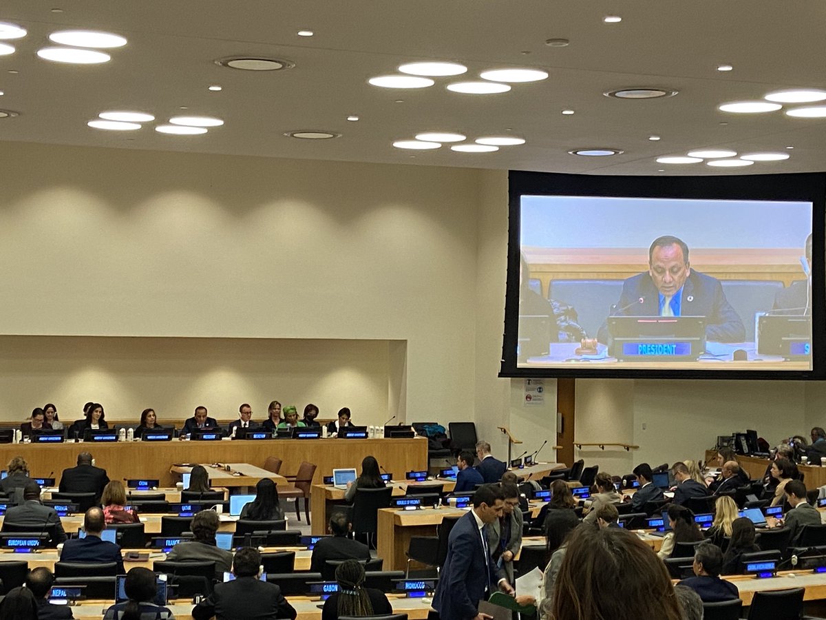 Levan Bouadze tweet media