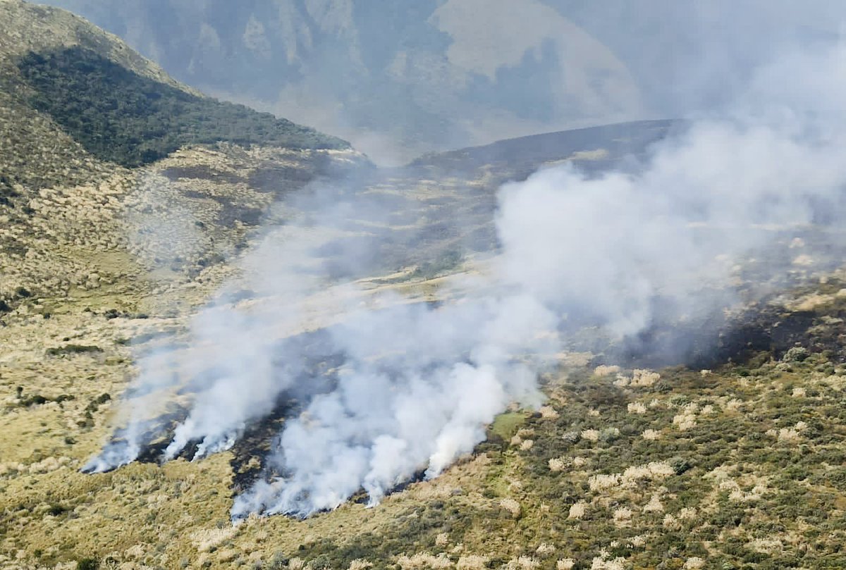 24HorasGYE's tweet image. 300 hectáreas de pajonal y chaparro se consumieron por incendio forestal en Cayambe. Foto Cortesía
