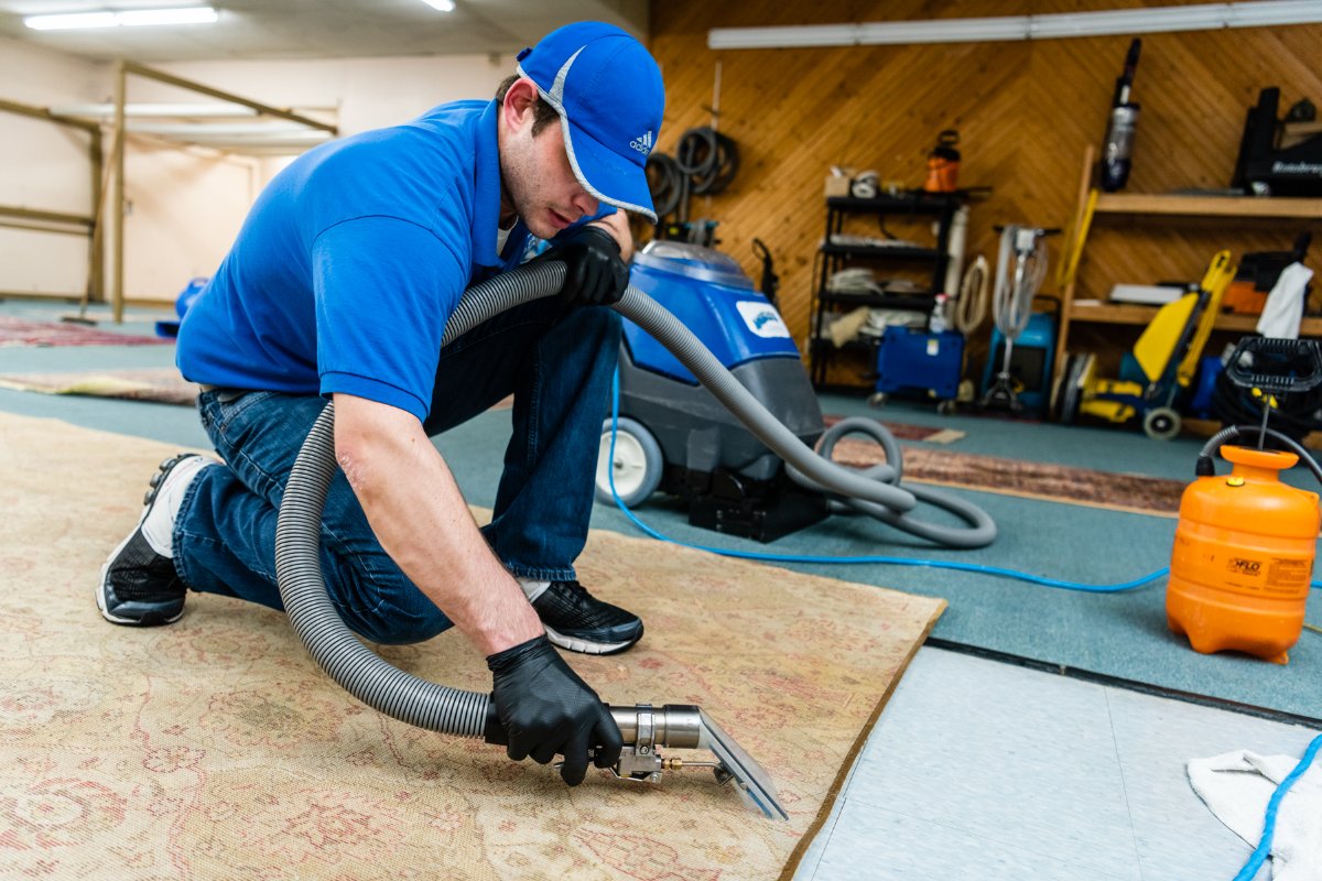 angeloscleaning's tweet image. When it comes to cleaning up your carpets, working with our team is a breath of fresh air!  #spotless #spotlessclean #deepclean #angeloscleaning #localbusiness