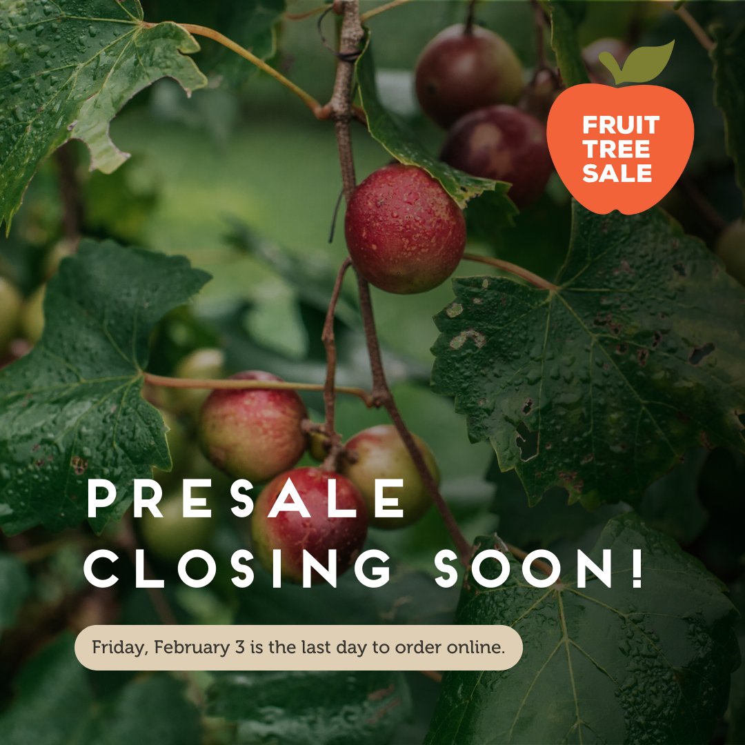 thefoodwell's tweet photo. 🍎 Get ‘em while you still can! Got your eyes on plants from https://t.co/pfg7X8wnmA? Now is the time to shop before the presale ends Friday! You can buy trees in person on Feb. 11, but stock will be limited! The presale is the best way to guarantee you get the trees you want! https://t.co/b7SCq6k7Co