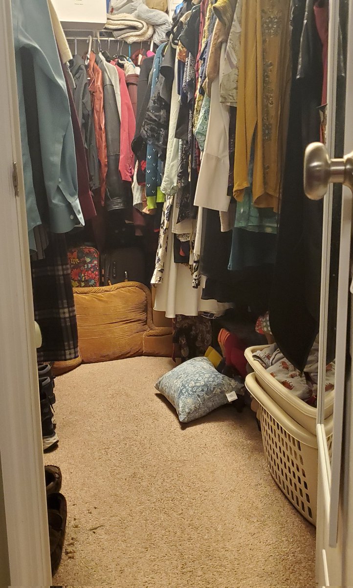 EditsByKnight's tweet image. Do you see the kitty? She hides...
#CatsOfTwitter #voidkitty