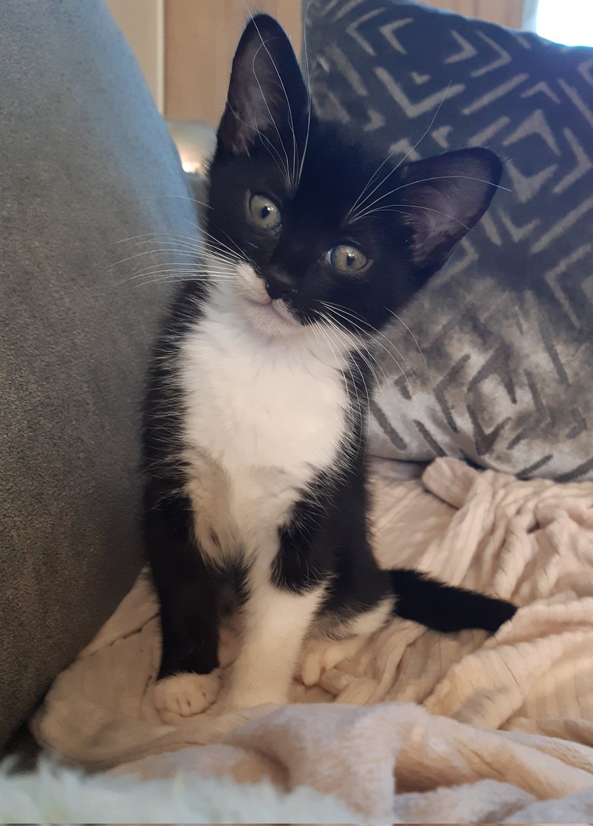 Vicky Brown tweet media