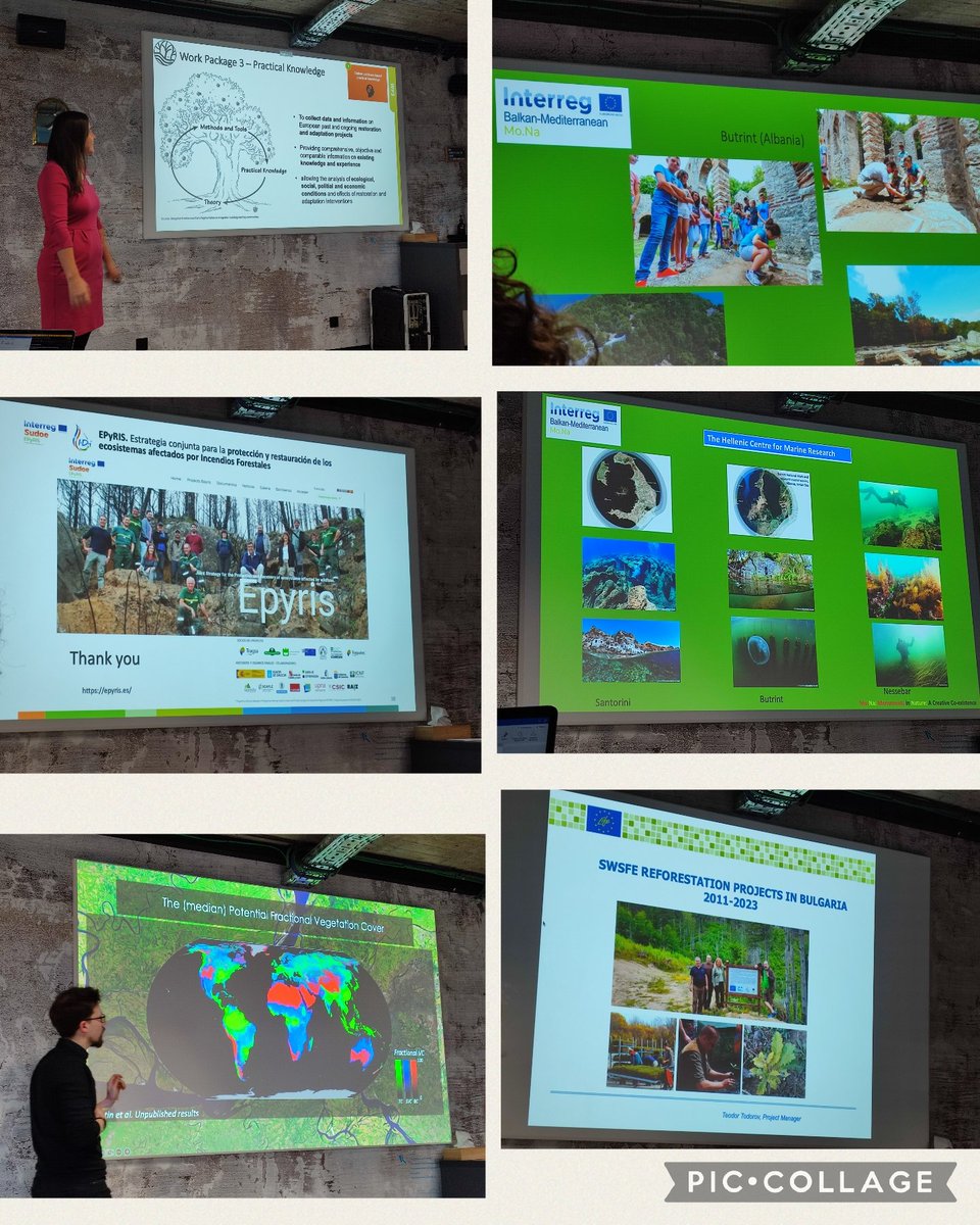 MndzMery's tweet photo. Great first day ok in @Brussells exploring cases of #restoration anda acquiring #practical knowledge within the @SUPERB_project. @INIA_es #forestresearch #europeannetwork #soyMFE @europeanforest @EPyRIS @ProspexInst https://t.co/i2wZnYZxGD