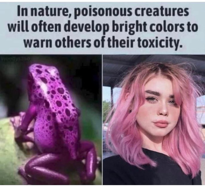 Adam Crigler tweet media