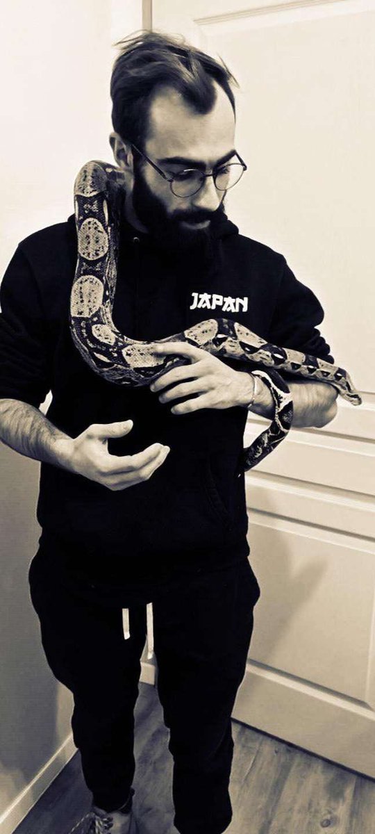 fougeray41's tweet photo. Boa imperator nommé Apophis https://t.co/CFF0Yn9NiB