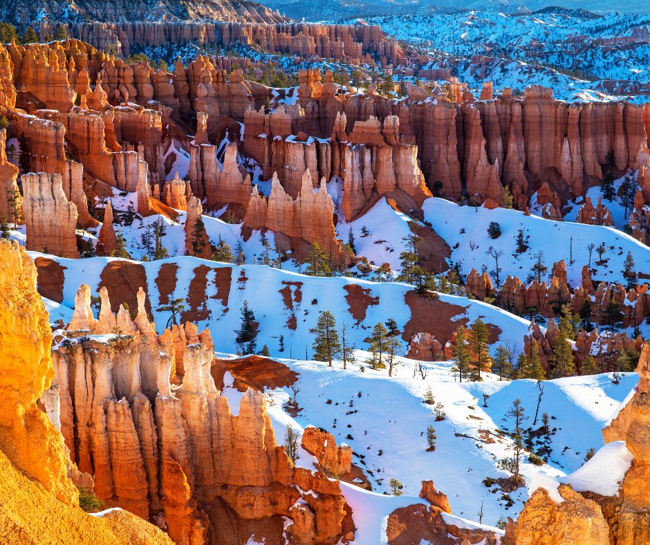 travelusaexp's tweet photo. Winter in Bryce Canyon National Park is so beautiful!  #travelusaexpress #nationalparkexpress #findyourpark #brycecanyon #brycepark #lasvegastour #visitbryce #lifeelevated #visitutah https://t.co/VRTy6UXe5t