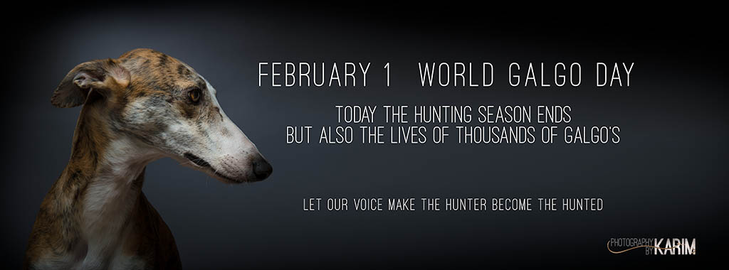 Wie jedes Jahr möchte ich auf den heutigen Día del Galgo hinweisen, denn heute endet die spanische Jagdsaison und somit werden wieder hunderttausende Jagdhunde aussortiert &amp; getötet. Die Auffang- und Tötungsstationen sind jetzt schon brechend voll. 
Be their voice! #freethegalgo