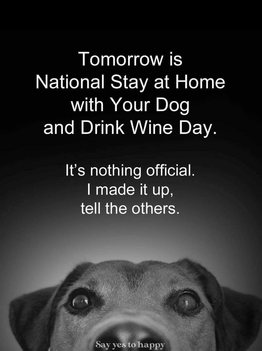 Heckin Good Dogs (@heckingooddogs) on Twitter photo 