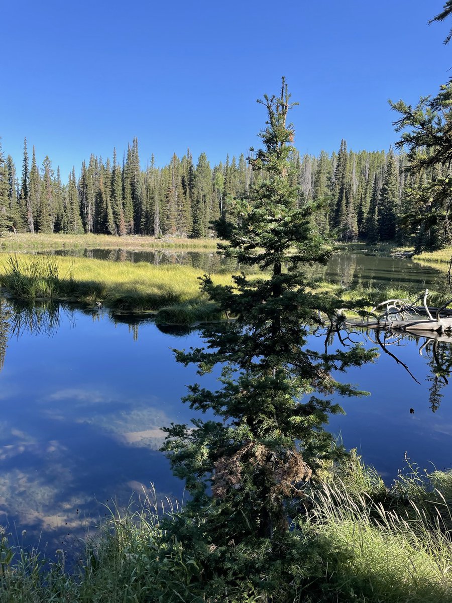 I’m ready for warmth, hunting, and elk in September.