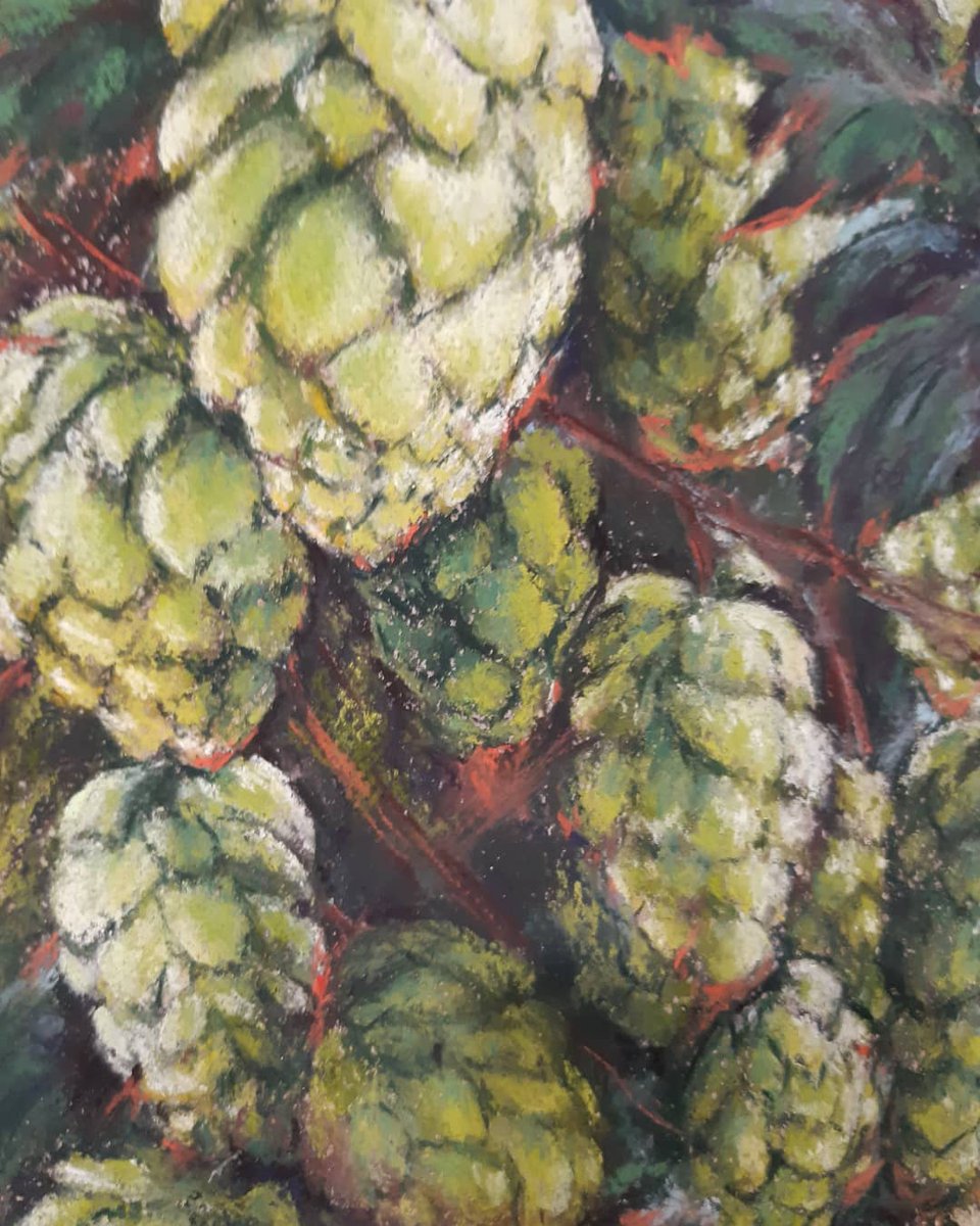 Hops grew once at my house. , with dark green leaves and light green cones - he braided the whole gazebo in the summer. 'Wild hops' Soft pastel. Paper canson. 
 24x30 cм

#hops  #yanayeremenkoart #pastelpainter #pastels #pasteldrawing #botany #flower