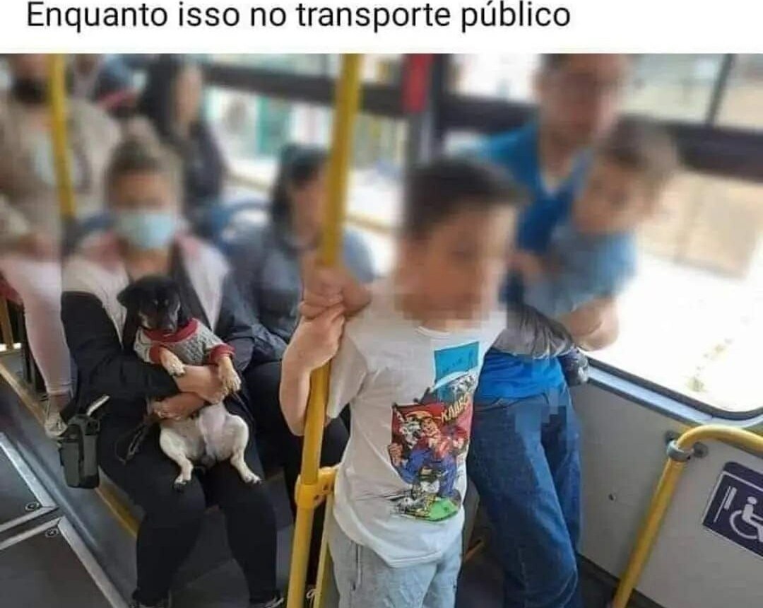 shitpostverdade's tweet photo. https://t.co/p1rNbuJHeZ