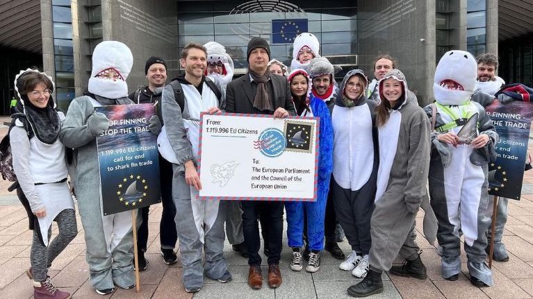 La iniciativa ciudadana "Stop Finning - Stop the Trade" ha iniciado oficialmente su proceso político en Bruselas🇪🇺

El 11 de enero entregamos a la Comisión Europea las 1.119.996 declaraciones de apoyo a la prohibición al comercio de aletas de tiburón🦈

 #FinBanNow #StopFinningEU