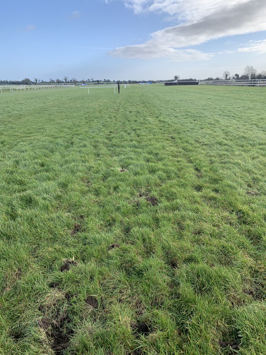 SoilIreland's tweet photo. 1/2 Great follow up visit post racing today @Fairyhouse racecourse to see the recovery and the effect of deep roots in turf.
Reducing sod pull and improving the racing surface. 🐎 🐎
#healthyroots #sobac https://t.co/ymbIzaC9Fb