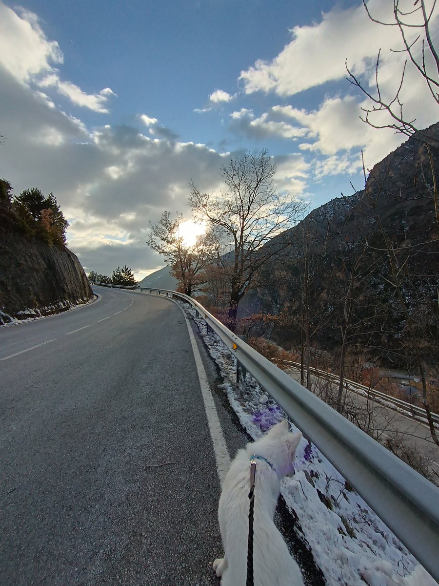 Pol Martos 🇦🇩 tweet media