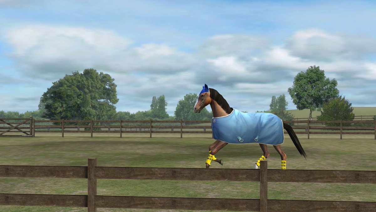 NettyKnowles's tweet image. Check out my photo! Add me, NettyNooNoo. #MyHorse  nmgam.es/horse_twitter