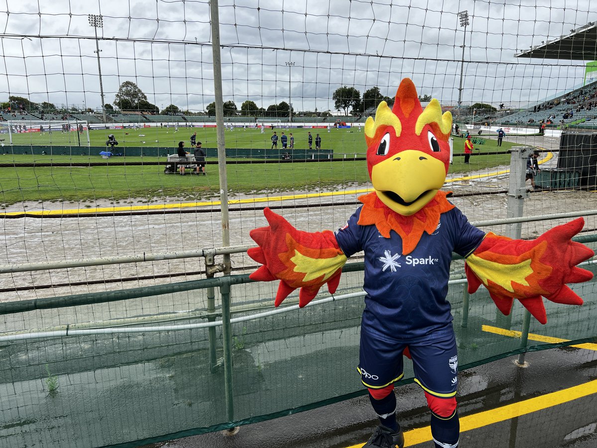 Me in Palmy last weekend 🔥