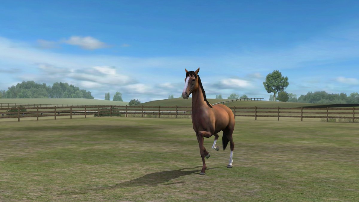 NettyKnowles's tweet image. Check out my photo! Add me, NettyNooNoo. #MyHorse  nmgam.es/horse_twitter