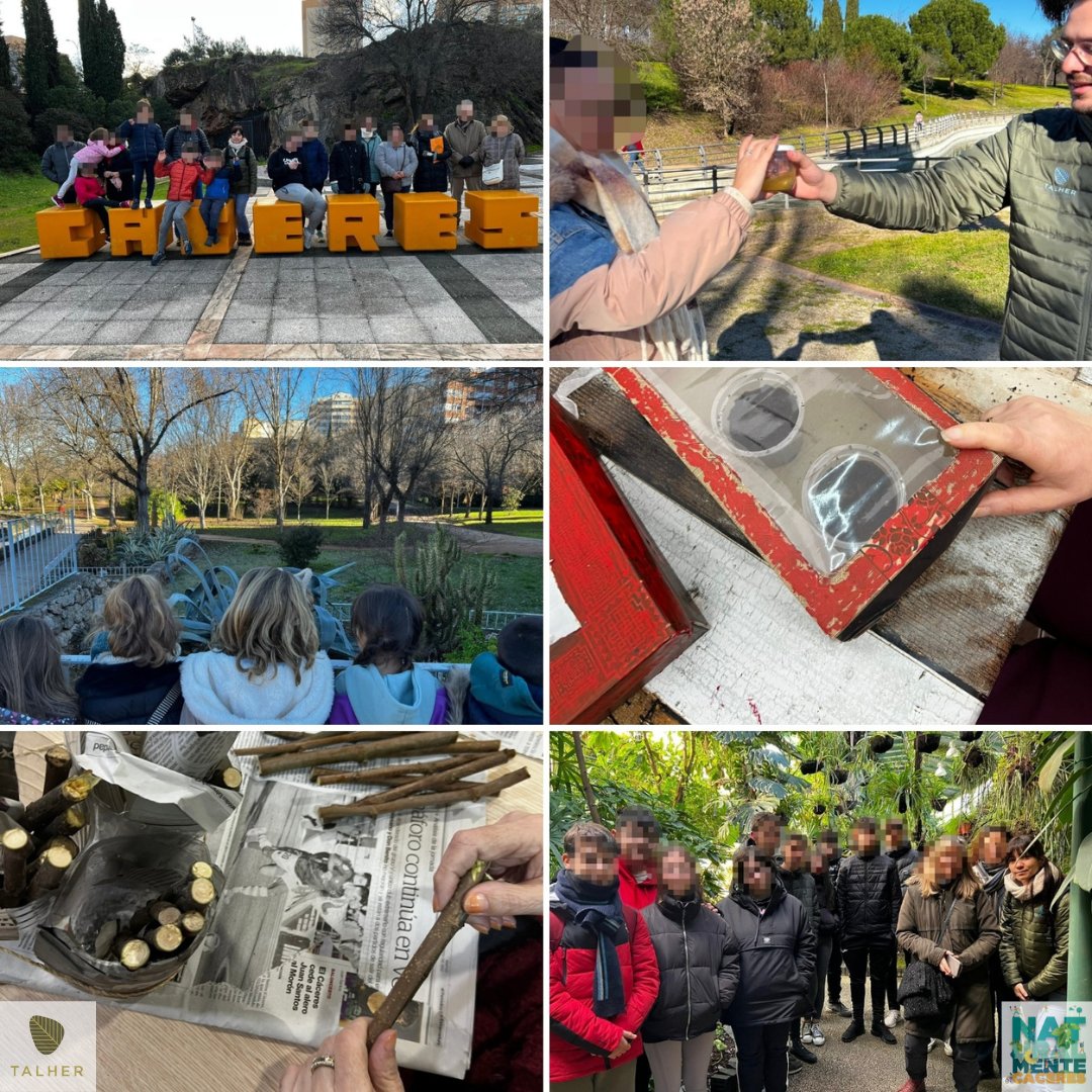 naturalmentecc's tweet photo. En la última semana de enero, el frío no nos ha parado y hemos celebrado el #díamundialdelaeducaciónambiental con familias, adultos, con #novaforma, #Alzhei, #asociacionalcompás, @Ies_Agora o CEIP Dulce Chacón ¡Gracias por participar!
@Ayto_Caceres @Talher_ https://t.co/5Qzh9MnEVD
