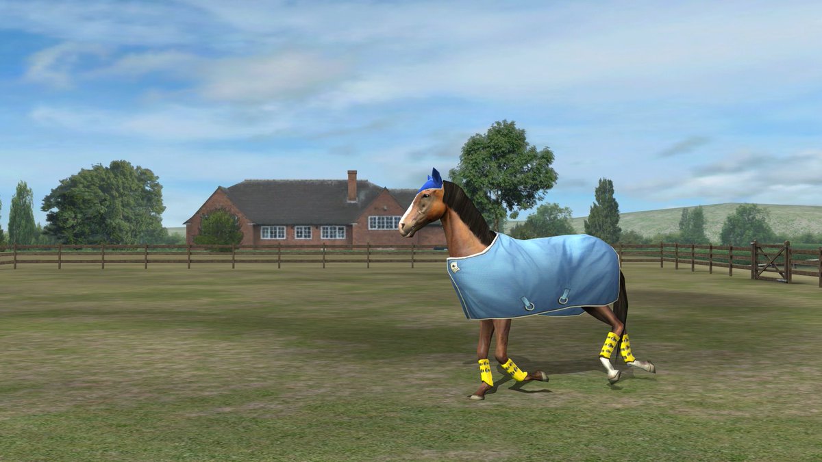 NettyKnowles's tweet image. Check out my photo! Add me, NettyNooNoo. #MyHorse  nmgam.es/horse_twitter