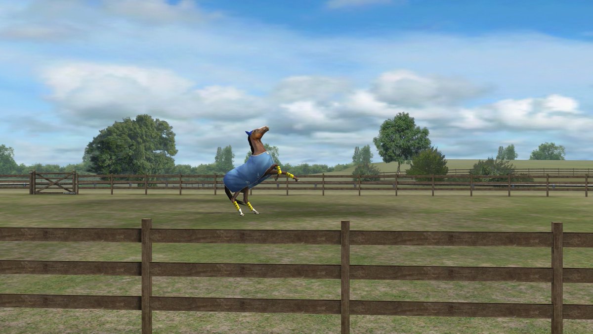 NettyKnowles's tweet image. Check out my photo! Add me, NettyNooNoo. #MyHorse  nmgam.es/horse_twitter