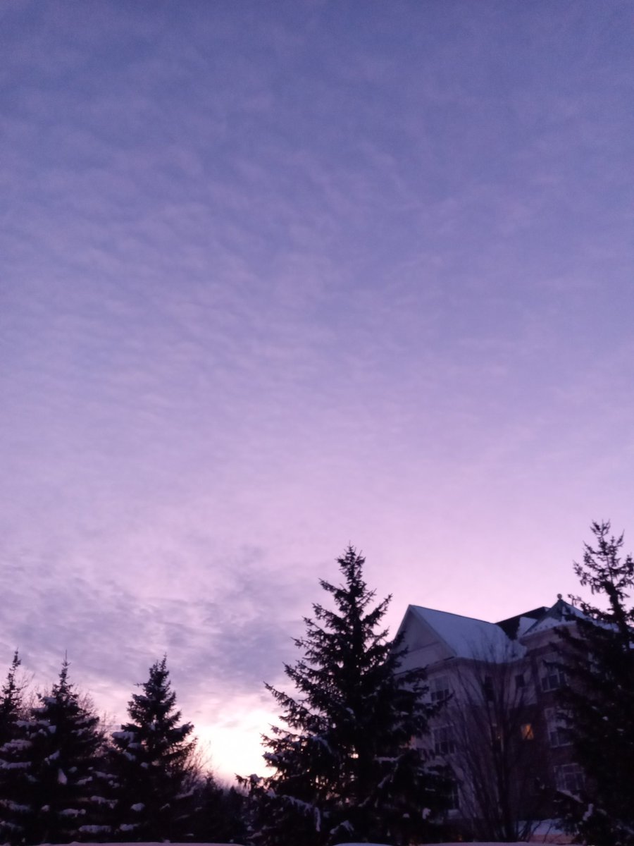 Lectox's tweet image. O céu de Toronto.