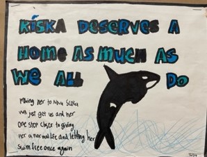 bayviewglenps1's tweet photo. @BGPS we continue to advocate for Kiska. See the posters our Grade 5/6 students created in the hope that she can go to the Whale Sanctuary in Nova Scotia. #freekiska #humanecanada #emptythetanks #animaljustice #zoocheck #whalesanctuary https://t.co/n2pxmC4cfT